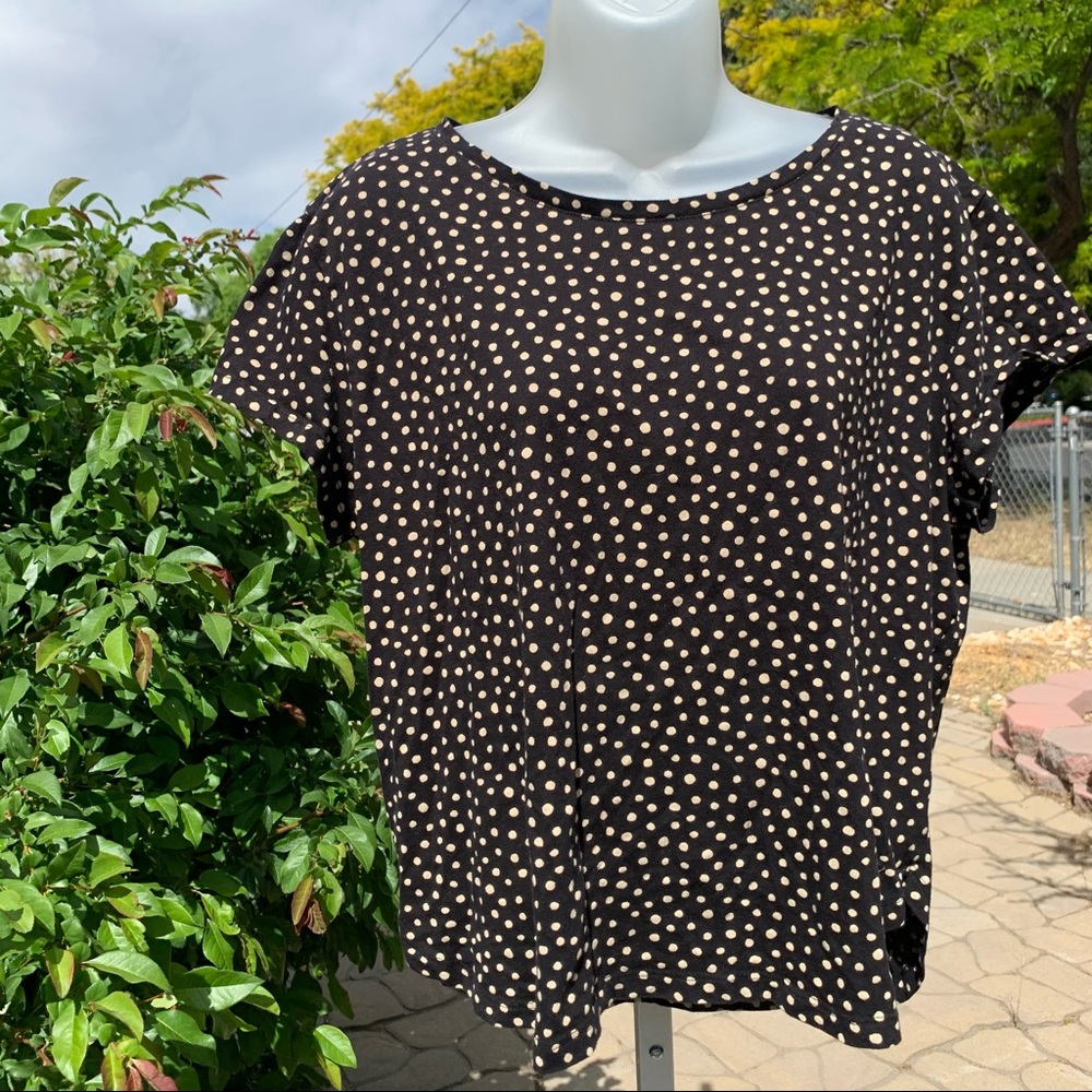 H&M Black & Tan Polk-a-Dot Short Sleeve Top | S-M